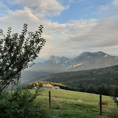 Stoecklhof Agroturismo Siegsdorf